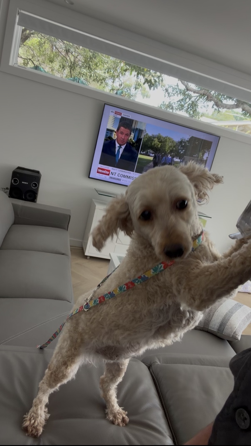 Ava, General Manager at Home Lift Sydney