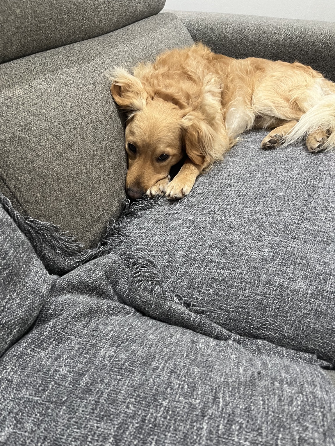 Fenton, Head of Rest and Recovery at Home Lift Sydney